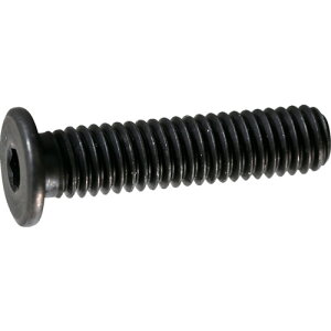 TRUSCO ���ᓪ�L���b�v�{���g �X�`�[�������� M4*6 11�{�� �^�Z�p���t�{���g(CAP) Y153-0406