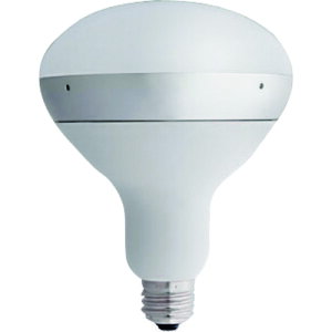 IRIS248238E26ˌ`oXgXⓔ()1600lmF(5000)zCghoEhLDR1020V10N7-H^16WH2