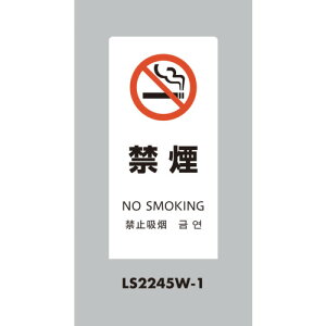 �� LS�T�C�� �z���C�g �։� LS2245W-1