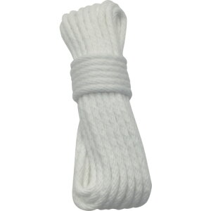 ^JCN [v |GXeŃ[v 6mm*10m@A507