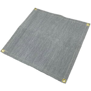 TRUSCO �ЖʃX�p�b�^�t�F���gAD �~�j550x600 20AD-M