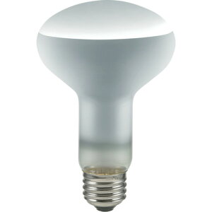 ELPAtvE26100WzCgERF110V100W-L