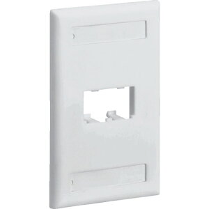 PANDUIT スイッチボックス用フェースプレート 2ポート用 オフホワイト CFPL2IWY