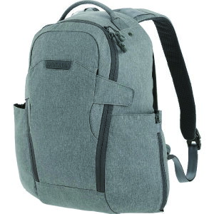 MAX�@Entity�@�o�b�N�p�b�N�@19L�@�A�b�V���ywpt�z�@NTTPK19AS