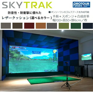 SKY TRAK �X�J�C�g���b�N ���U�[�N�b�V�����i�ؔ{�X�|���W�{������v�j