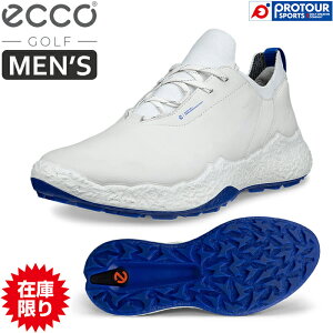 ECCO M GOLF BIOM H5 GR[ Y oCI GC`Et@Cu StV[Y 138014-61109