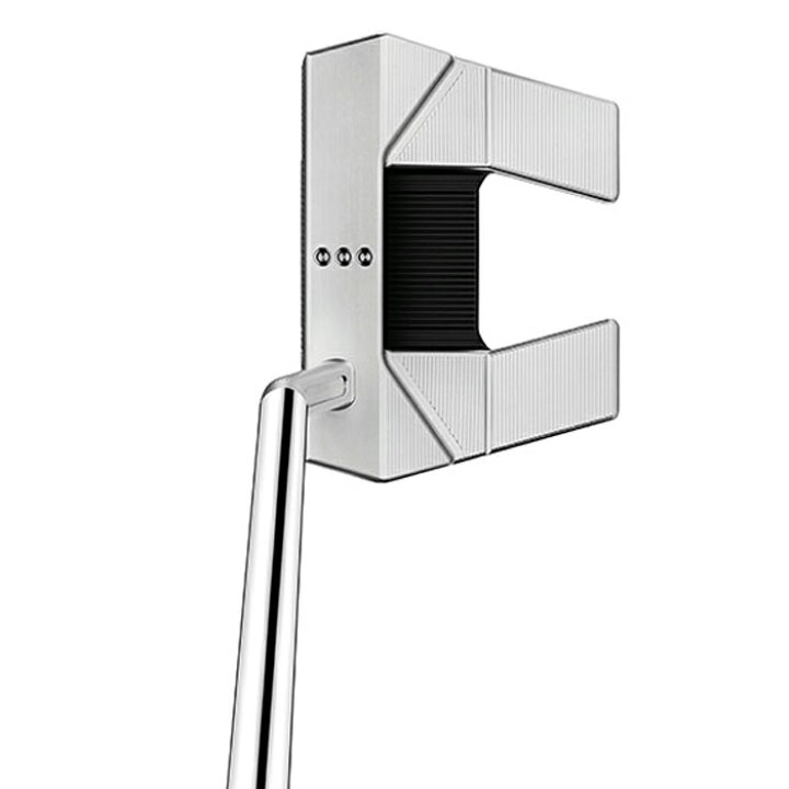 楽天市場】Titleist SCOTTY CAMERON PHANTOM 5.5 タイトリスト 