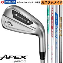 楽天市場】APEX 300の通販