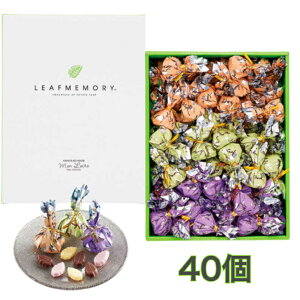 [@[t[Mtg{bNX@40@@XC[c َq Mtg v[g H ~ A c䌩i p[eB[ ܎O@Ε@o^Cf[@zCgf