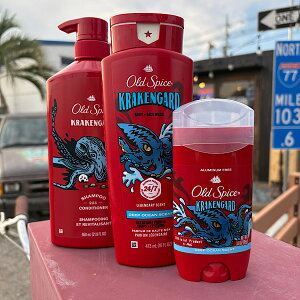 yN[PK[hzyI[hXpCX 3_Zbgz Old Spice   tOXo[ {fBEHbV 2in1 Vv[RfBVi[ u₩ {fBPA wAPA  G`Pb