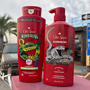 y}oLOzyI[hXpCX 2_ZbgzOld Spice   {fBEHbV 2in1 Vv[RfBVi[ {fBPA wAPA  G`Pbg AJ USA P&G  Ki 