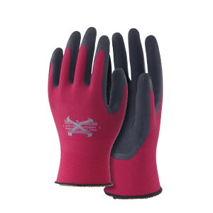 ӂ A-397 \tLb`EXtBbg VRSN[^[p[ 10oZbg w