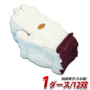 ȌR(5{):750g 1_[X(12o)/ C750 Ɨp Y NiKKO