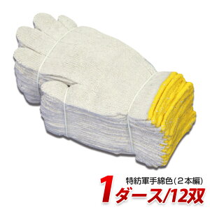 TC600 aRȐF(2{) 600g 1_[X(12o) Ɨp Y NiKKO