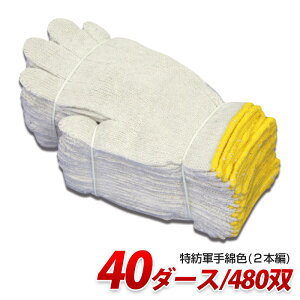 TC600 ���a�R��ȐF(2�{��) ��600g 40�_�[�X ��Ɨp