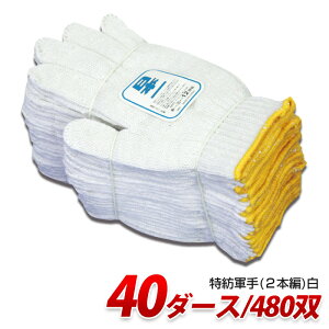TWB600Y aR2{Ҕ{ 600g 40_[X Ɨp