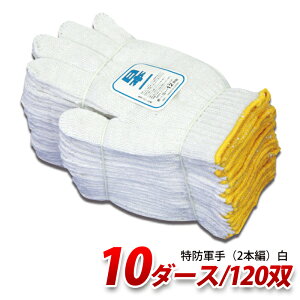 proues vEGX TWB600Y aR2{Ҕ{ 600g 10_[Xi12o/×10j Ɨp PROUESU Y NiKKO