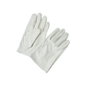 \v NXg {v 10og 8102 Ɨp \ Y NiKKO