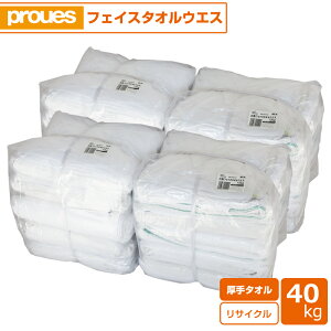 ^IEGX 40kg/ (20kg×2)  ς FtFCX^I TCNn EFX G | _X^[ Cp[ @ |  H @BeiX Ԑ ʉƒ