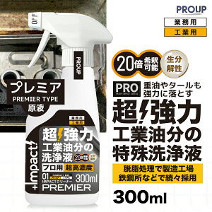 Lg[~yvp̈З́zvp t ͗n   t EyVzzCpNgN[i[(t v~Aph13.5) 300ml Xv[ 20{߉ Lb` Ƃ 