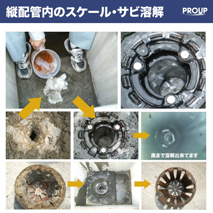 楽天市場】【プロも唖然 世界最速 】プロ用 超強力 カルシウム 