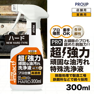 Lg[~ yvp̈З́zZx    t E Ɩp ƒpyVzzCpNgN[i[(n[hph13.0) 300ml Xv[ Lb` Ƃ  ꗎ