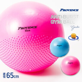 楽天市場 かわいい バランスボール スポーツ器具 フィットネス トレーニング スポーツ アウトドアの通販 楽天市場 かわいい バランスボール スポーツ器具 フィットネス トレーニング スポーツ アウトドアの通販