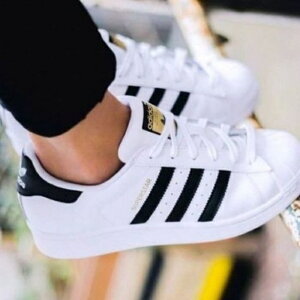 AfB_XXj[J[ fB[X X[p[X^[ SUPERSTAR V[Y C zCg ubN   JWA ^C adidas x 80s C lC uh ʊw 