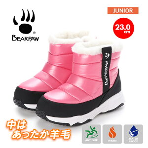 _10͓XSi|Cg5{I^u[c LbY q WjA ̎q j̎q Wjp[  C h h Xm[  J1995K