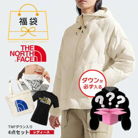 福袋 レディース ノースフェイス ダウン Tシャツ トートバッグ ゲイター 2025 秋 冬 冬物 ブランド 人気 M L XL