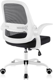 【10％OFFクーポン配布中！】椅子 オフィス オフィスチェア デスクチェア 勉強 椅子 人間工学椅子 メッシュチェア 疲れない 腰痛対応 360度回転 キャスター付き おしゃれ 事務 勉強 ホワイト ブラック