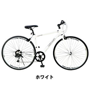 AE^[~bc NXoCN ] ʋ ʊw 700C O6iϑ TJgeNm