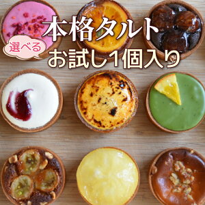 y݌vÎ̔15˔jz14ނIׂ {i ^g  1 Zbg zCgf[ ʉ  w j P[L XC[c fU[g Mtg m َq t[c `R `[Y 