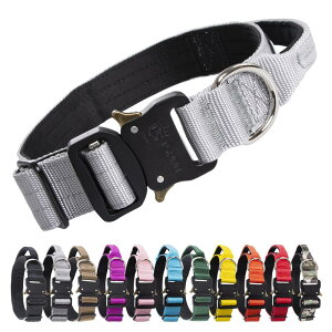 TSPRO v~A nhtp ߉\Ȍp NCbN[X ̎    ^^p ( M)