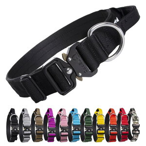 TSPRO v~A nhtp ߉\Ȍp NCbN[X ̎    ^^p (ubN L)