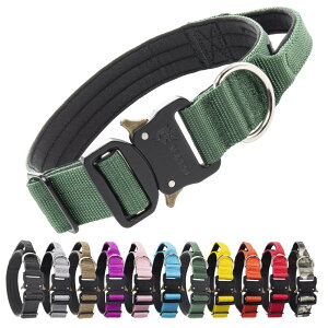 TSPRO v~A nhtp ߉\Ȍp NCbN[X ̎    ^^p (O[ M)