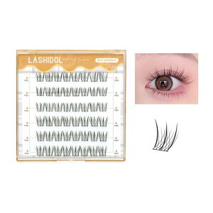 LASHIDOL ܂ ̂sv s^܂ p ܂ ̂t ܂  ڒܕtt܂ mȂ܂ ZOgꂽȐڒ܂ i`