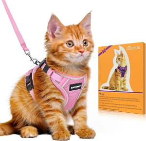 Bigcow L Lp n[lX[h Zbg L[v [h Ln[lX Lpn[lX  L ˂ lR qL U o Ȃ xXg \tg y ʂ\ TCY