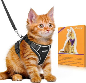 Bigcow L Lp n[lX[h Zbg L[v [h Ln[lX Lpn[lX  L ˂ lR qL U o Ȃ xXg \tg y ʂ\ TCY