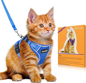 Bigcow L Lp n[lX[h Zbg L[v [h Ln[lX Lpn[lX  L ˂ lR qL U o Ȃ xXg \tg y ʂ\ TCY