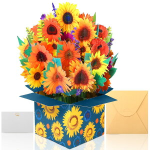 Kesote bZ[WJ[h    aJ[h  |bvAbv q} t  яo O[eBO o^C ̓  t