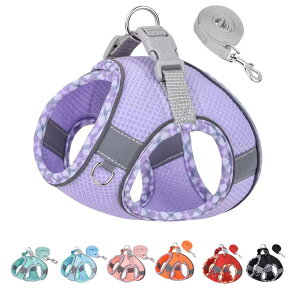 ybgpn[lX n[lX^̃n[lX ^sAjOAg[jOɕ֗Ȍpn[lXƃxgZbg^pn[lXA^pn[lX (p[v, XXS)