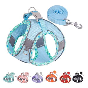 ybgpn[lX n[lX^̃n[lX ^sAjOAg[jOɕ֗Ȍpn[lXƃxgZbg^pn[lXA^pn[lX (S, u[)