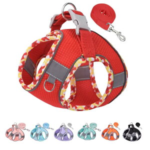 ybgpn[lX n[lX^̃n[lX ^sAjOAg[jOɕ֗Ȍpn[lXƃxgZbg^pn[lXA^pn[lX (M, bh)