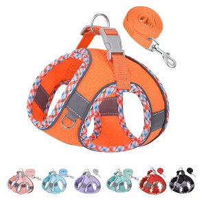 ybgpn[lX n[lX^̃n[lX ^sAjOAg[jOɕ֗Ȍpn[lXƃxgZbg^pn[lXA^pn[lX (M, IWF)