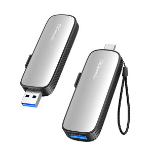 GiGimundo M201�|�[�^�u��SSD 10Gbps�O�t��SSD 1TB usb3.2 (Gen2)�ǂݎ�葬�x1000mb/�b type-C/type-A ���Ή� PS5/PS4/�e���r�^��Ή� �����^ �y�� �|�[�^�u�� �X�e�B�b�N USB�������T�C�Y (�V���o�[, 256GB)