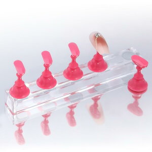 COLORBIRD lC`bvX^h }Olbg  lC`bv lCX^h NA ([Y5)