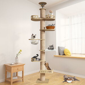 CozyMeow Lbg^[ ˂ ؓo^[ ؐ Lbgc[ X FD nbN wC x ^Lp  L^[ ܂Ƃ ߂Ƃ L lC  킢 