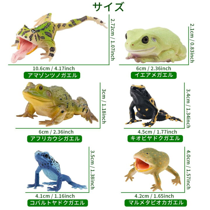 楽天市場】TOYMANY 12PCSカエルフィギュア 動物フィギュアセット 蛙 