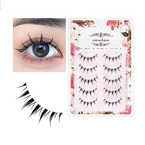 emotao ܂ i`ڐK Z  ܂ lC  D RX vCN 5yA (M9)